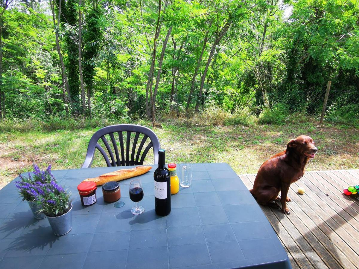 Camping Le Coin Charmant Chauzon 外观 照片